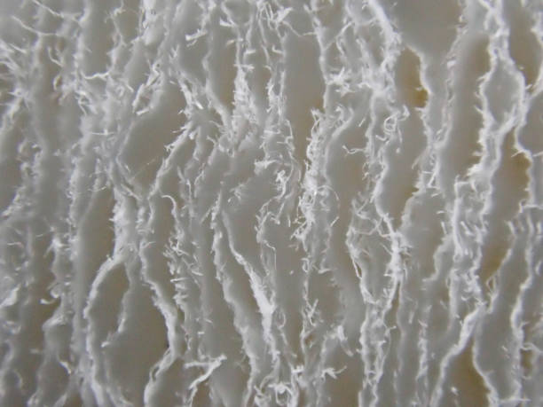 Low Thermal Conductivity